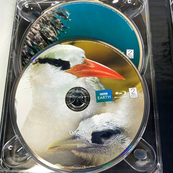 Life, Set of 4 Blu-ray discs - Picture 6 of 7